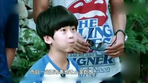 娱乐八卦每日爆料忠哥,揭秘明星幕后故事